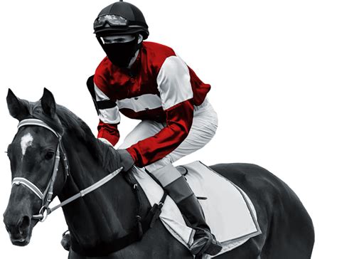Horse Racing Data Feed API .